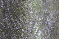 Fogwatt fibreglass roof work